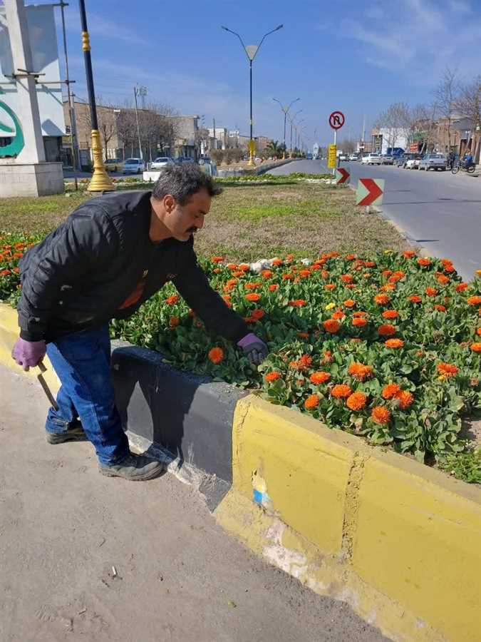 شهر برای نوروز آماده میشود