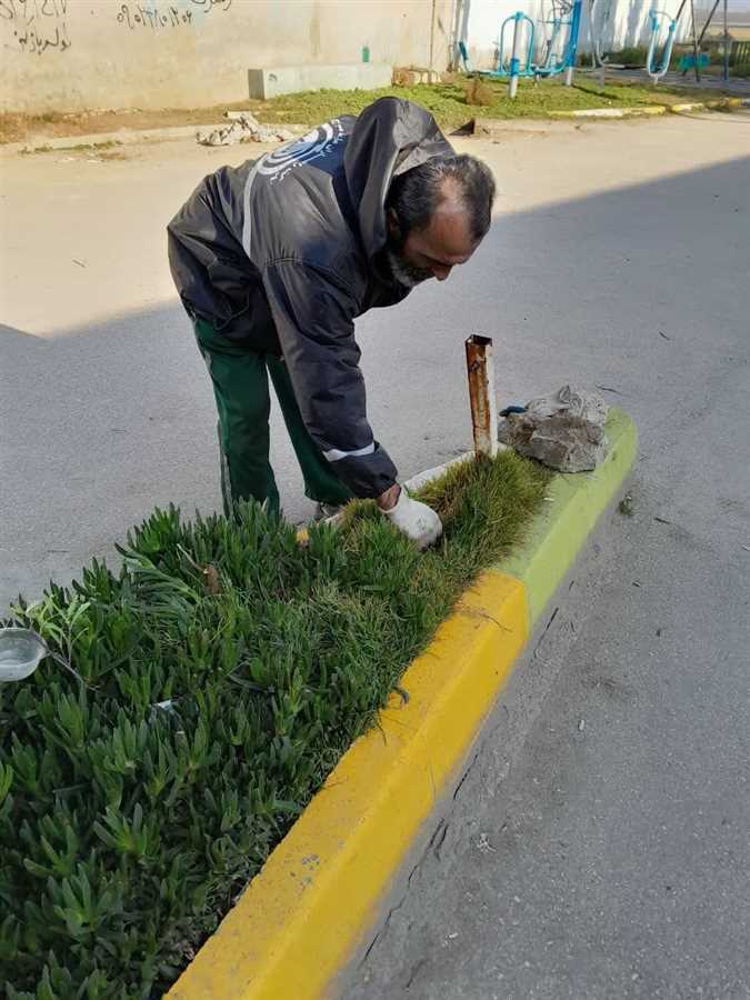 شهر برای نوروز آماده میشود