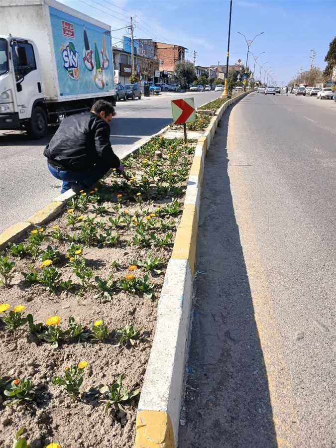 شهر برای نوروز آماده میشود