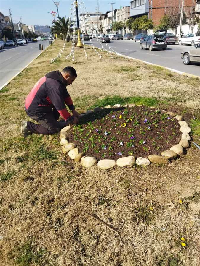 شهر برای نوروز آماده میشود